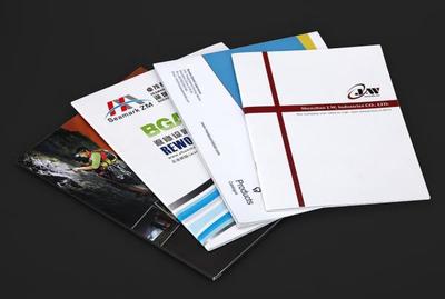 西寧網(wǎng)頁(yè)與網(wǎng)站設(shè)計(jì) 數(shù)字化時(shí)代的發(fā)展機(jī)遇與實(shí)踐探索